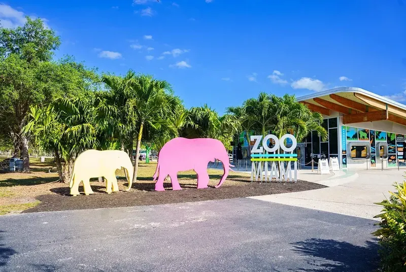 Wildwood Groves, Miami, image 8 of 13